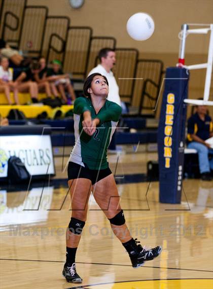 Thumbnail 1 in Pitman @ Gregori photogallery.