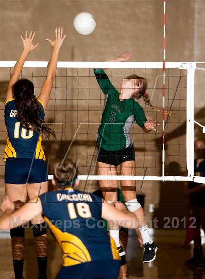 Thumbnail 3 in Pitman @ Gregori photogallery.