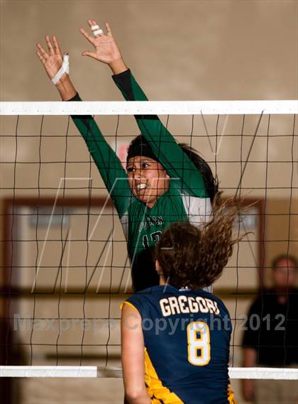 Thumbnail 1 in Pitman @ Gregori photogallery.