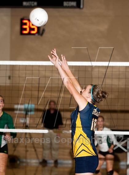 Thumbnail 1 in Pitman @ Gregori photogallery.