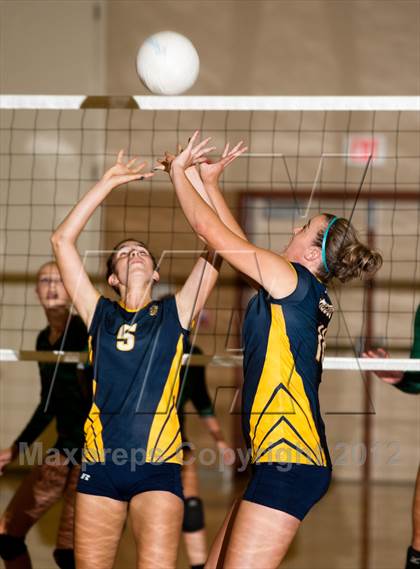Thumbnail 2 in Pitman @ Gregori photogallery.