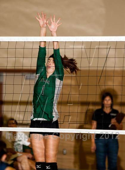 Thumbnail 3 in Pitman @ Gregori photogallery.