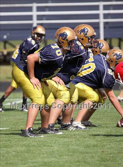 Thumbnail 1 in Williamsville East @ Sweet Home photogallery.