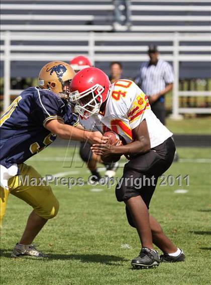 Thumbnail 1 in Williamsville East @ Sweet Home photogallery.