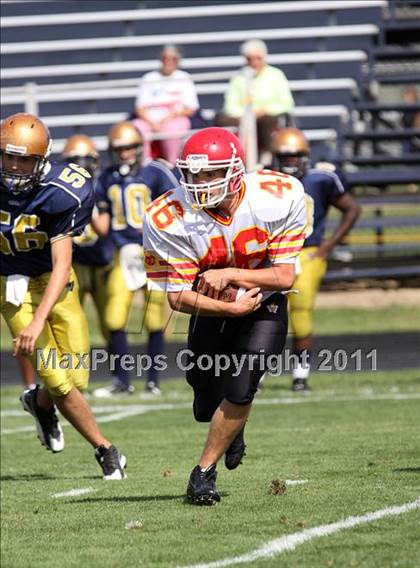 Thumbnail 1 in Williamsville East @ Sweet Home photogallery.