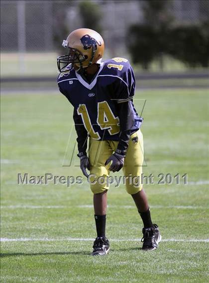 Thumbnail 1 in Williamsville East @ Sweet Home photogallery.