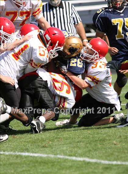 Thumbnail 2 in Williamsville East @ Sweet Home photogallery.