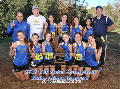 Thumbnail 1 in CIF State Cross Country Championships (Girls Awards) photogallery.