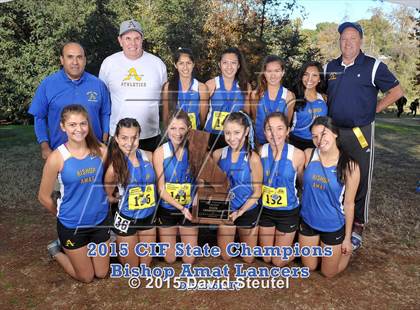 Thumbnail 3 in CIF State Cross Country Championships (Girls Awards) photogallery.