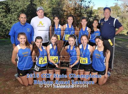 Thumbnail 2 in CIF State Cross Country Championships (Girls Awards) photogallery.