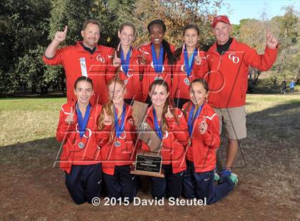 Thumbnail 3 in CIF State Cross Country Championships (Girls Awards) photogallery.