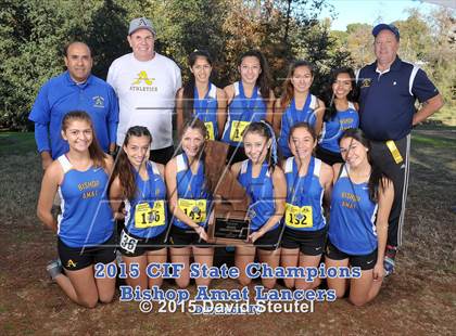 Thumbnail 1 in CIF State Cross Country Championships (Girls Awards) photogallery.