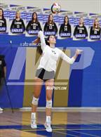 Photo from the gallery "Corona del Sol @ O'Connor"