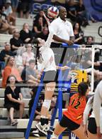 Photo from the gallery "Corona del Sol @ O'Connor"