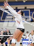 Photo from the gallery "Corona del Sol @ O'Connor"