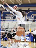 Photo from the gallery "Corona del Sol @ O'Connor"