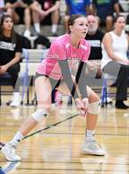 Photo from the gallery "Corona del Sol @ O'Connor"