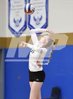 Photo from the gallery "Corona del Sol @ O'Connor"