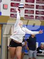 Photo from the gallery "Corona del Sol @ O'Connor"