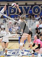 Photo from the gallery "Corona del Sol @ O'Connor"