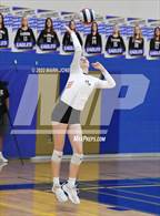 Photo from the gallery "Corona del Sol @ O'Connor"