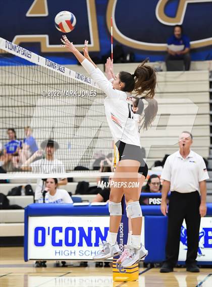 Thumbnail 1 in Corona del Sol @ O'Connor photogallery.