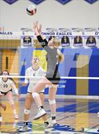 Photo from the gallery "Corona del Sol @ O'Connor"