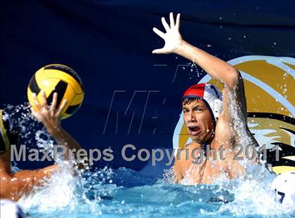 Thumbnail 3 in Carter @ Citrus Valley  photogallery.