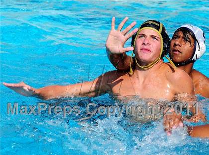 Thumbnail 1 in Carter @ Citrus Valley  photogallery.