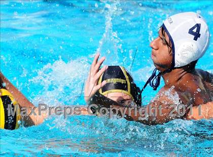 Thumbnail 3 in Carter @ Citrus Valley  photogallery.