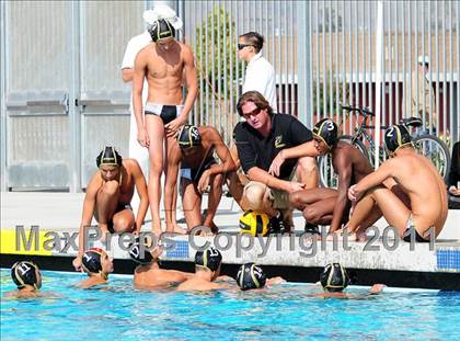 Thumbnail 1 in Carter @ Citrus Valley  photogallery.