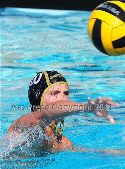 Thumbnail 1 in Carter @ Citrus Valley  photogallery.