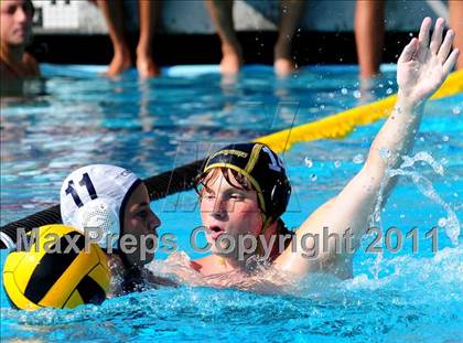 Thumbnail 2 in Carter @ Citrus Valley  photogallery.