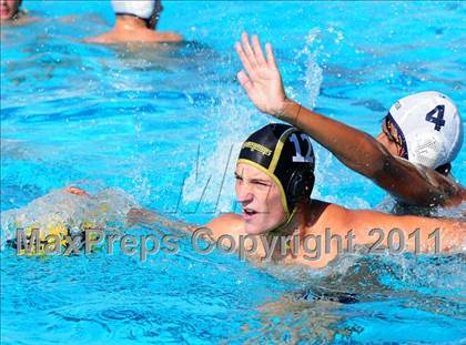 Thumbnail 1 in Carter @ Citrus Valley  photogallery.