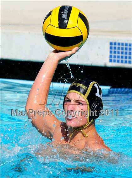 Thumbnail 1 in Carter @ Citrus Valley  photogallery.