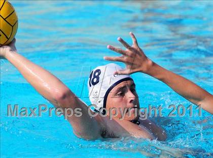 Thumbnail 2 in Carter @ Citrus Valley  photogallery.