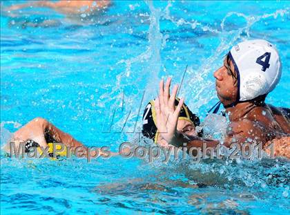 Thumbnail 2 in Carter @ Citrus Valley  photogallery.