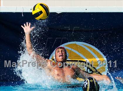 Thumbnail 1 in Carter @ Citrus Valley  photogallery.