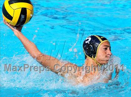 Thumbnail 1 in Carter @ Citrus Valley  photogallery.