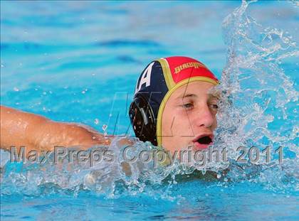 Thumbnail 2 in Carter @ Citrus Valley  photogallery.