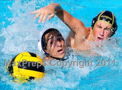 Thumbnail 3 in Carter @ Citrus Valley  photogallery.