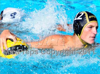 Thumbnail 1 in Carter @ Citrus Valley  photogallery.