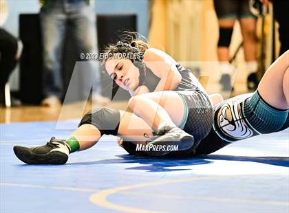 Thumbnail 1 in Metro Conference Championships photogallery.