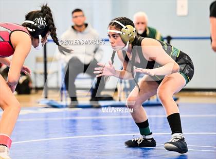 Thumbnail 2 in Metro Conference Championships photogallery.