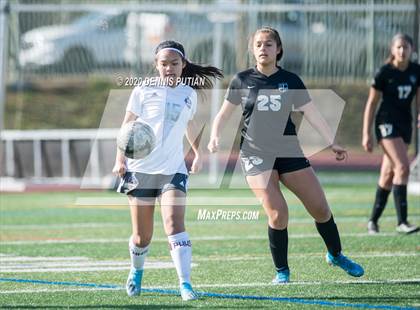 Thumbnail 2 in Piedmont Hills @ Archbishop Mitty (CIF CCS Open Division Quarterfinal) photogallery.