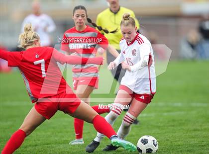 Thumbnail 2 in American Fork vs. Mountain Ridge (UHSAA 6A Quarter Final) photogallery.