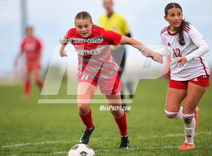 Thumbnail 1 in American Fork vs. Mountain Ridge (UHSAA 6A Quarter Final) photogallery.