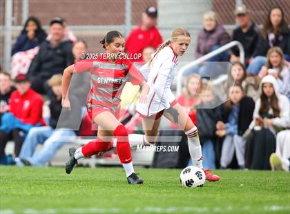 Thumbnail 3 in American Fork vs. Mountain Ridge (UHSAA 6A Quarter Final) photogallery.