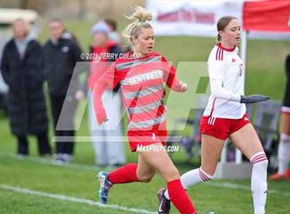 Thumbnail 1 in American Fork vs. Mountain Ridge (UHSAA 6A Quarter Final) photogallery.