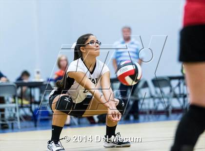 Thumbnail 1 in Out of Door Academy @ Tampa Bay HEAT photogallery.